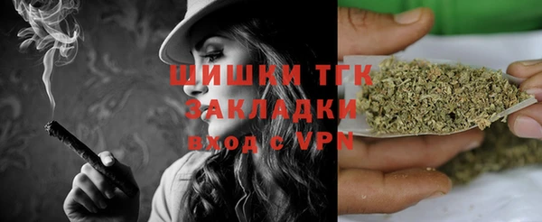 ГАЛЛЮЦИНОГЕННЫЕ ГРИБЫ Белокуриха