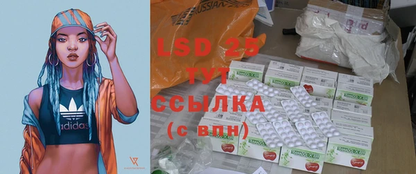 ГАЛЛЮЦИНОГЕННЫЕ ГРИБЫ Белокуриха